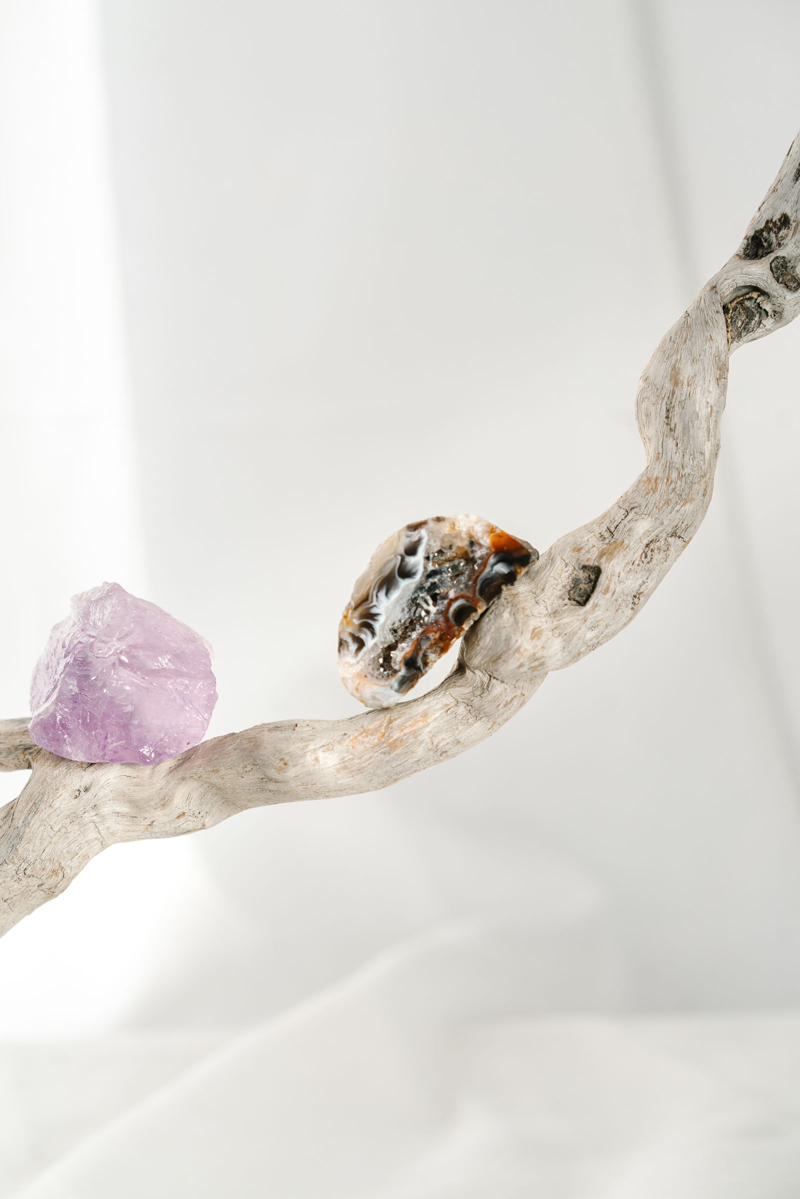 Agate and quartz specimens on driftwood, evoking Wyoming field agate