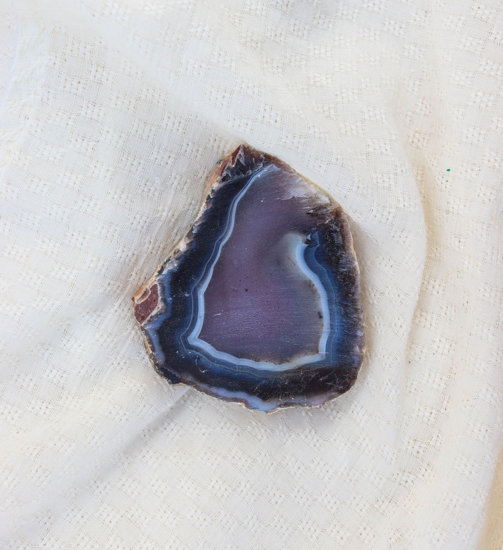 Sliced agate showing fine banding, evoking Woodward Ranch plume agate