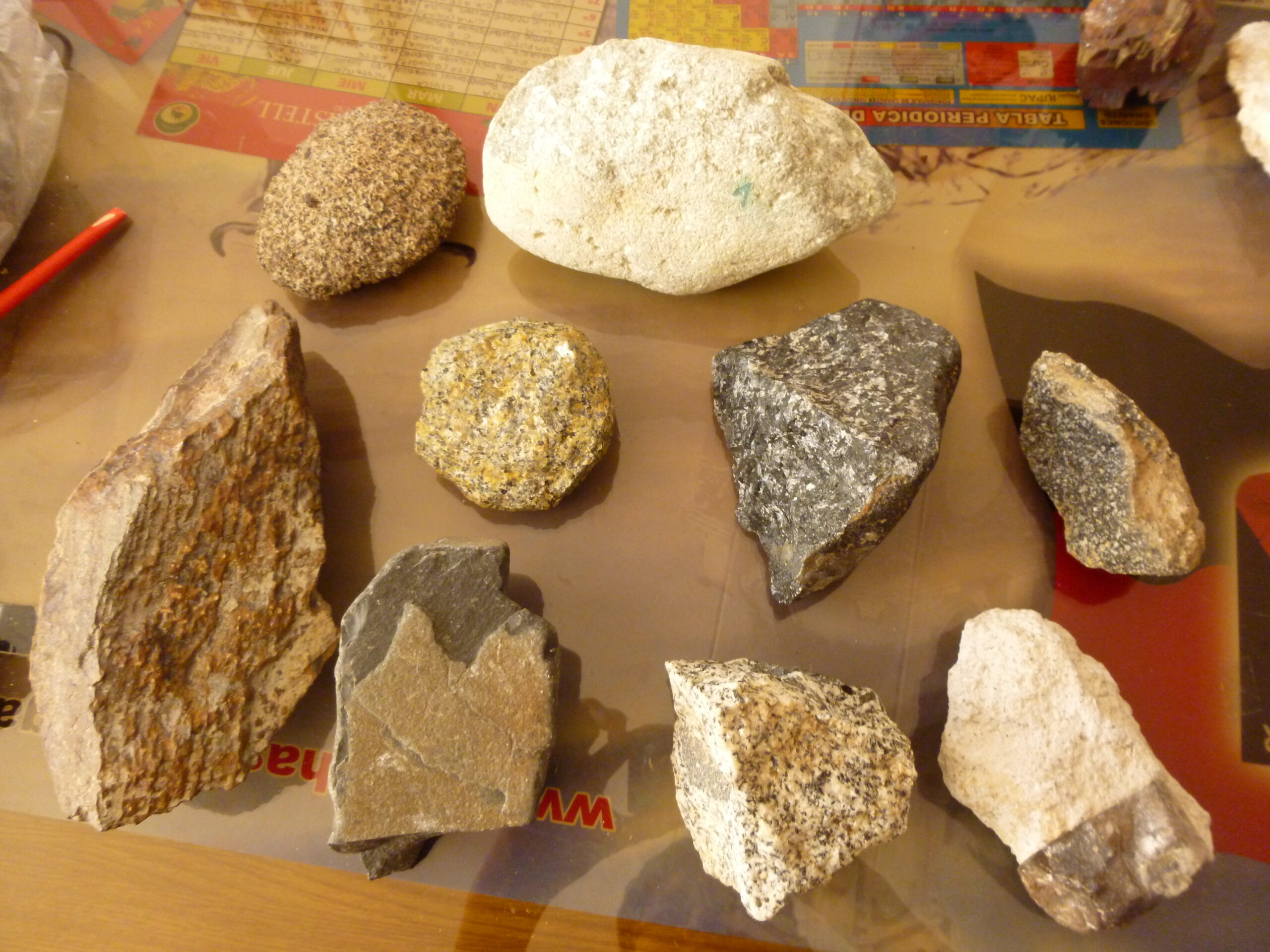Tray of assorted igneous rock samples including granite, gabbro and basalt, used to compare rock types in the field