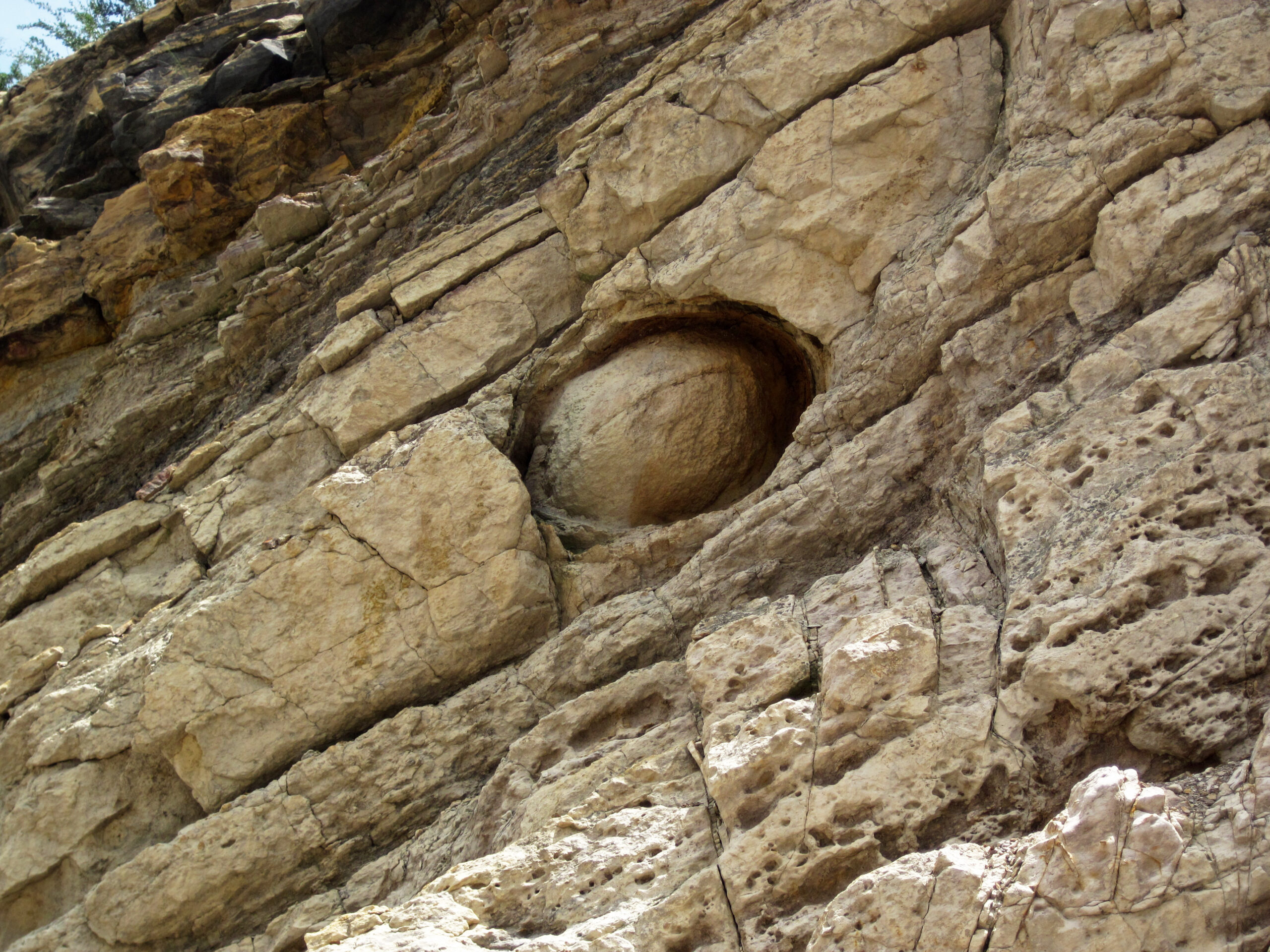 A hard, rounded concretion weathering out of layered Dakota Sandstone, Colorado