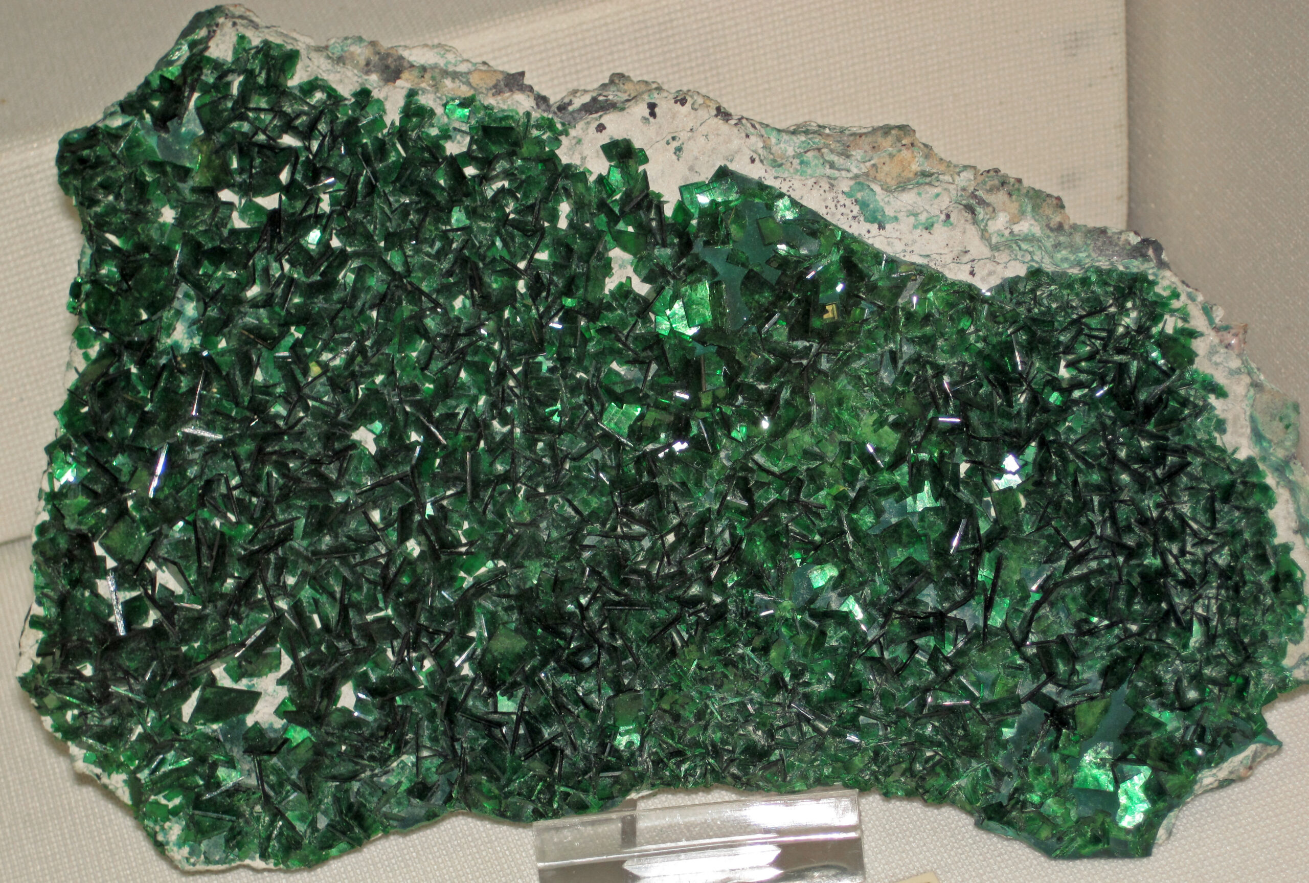 Bright green torbernite crystals, a radioactive secondary uranium mineral, on matrix
