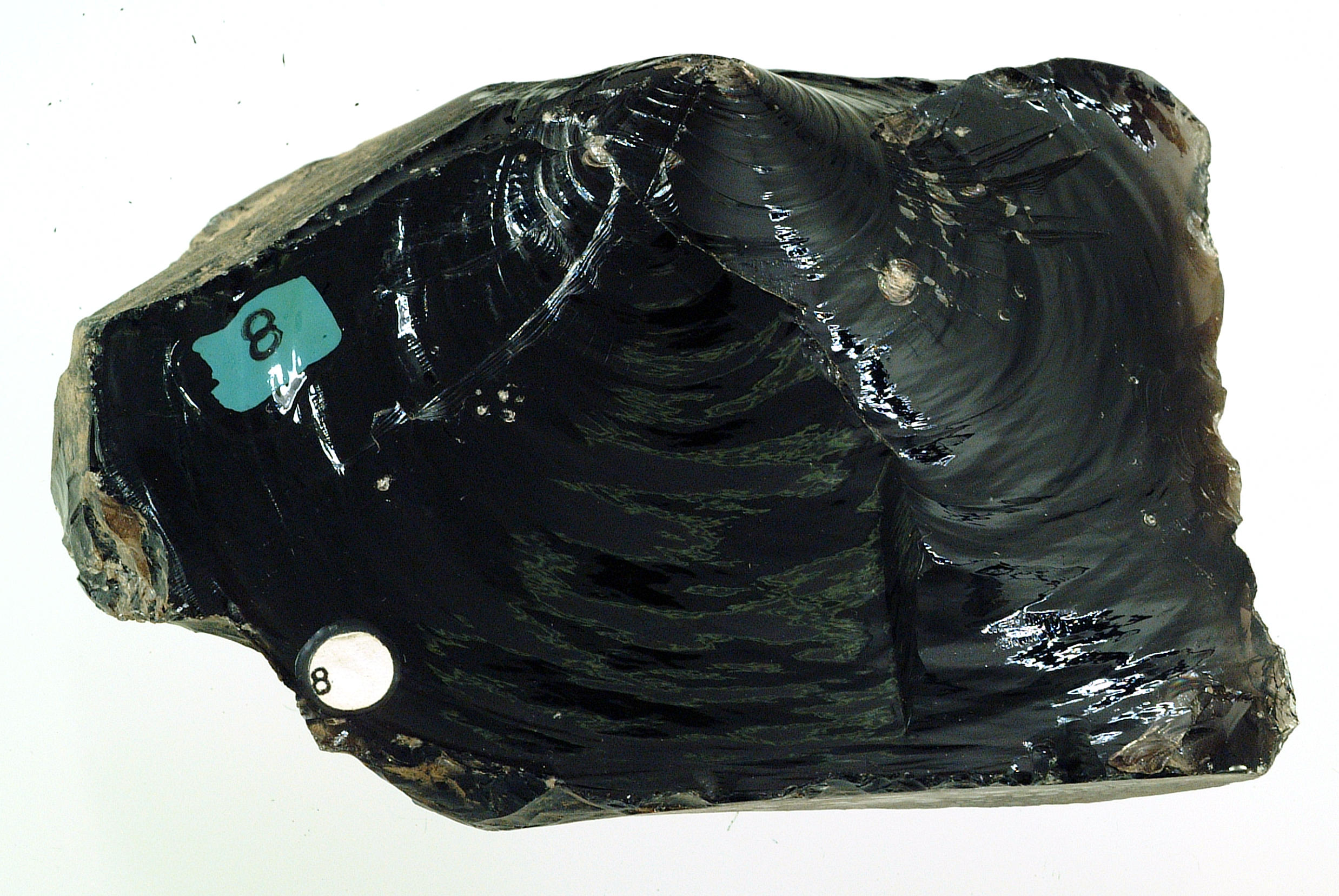 Black obsidian specimen showing smooth glassy surfaces and curved conchoidal fracture